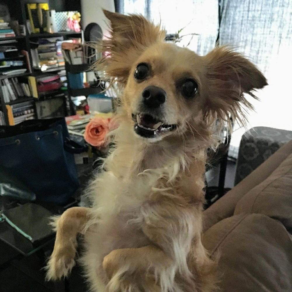 Meet your Posher, Christine